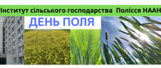 ДЕНЬ ПОЛЯ - 2026  АСПЕКТИ ВИРОЩУВАННЯ СІЛЬСЬКОГОСПОДАРСЬКИХ КУЛЬТУР НА ПОЛІССІ