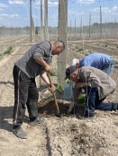Співробітники відділу біохімії хмелю і пива та біотехнології надають науково-практичну допомогу з ведення культури хмелю в хмелярських господарствах України.