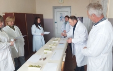 14.10.2025 року у відділі селекції та інноваційних технологій хмелю ІСГП НААН розпочато органолептичні дегустації ароматичних профілів шишок нових номерів хмелю урожаю 2025 року.